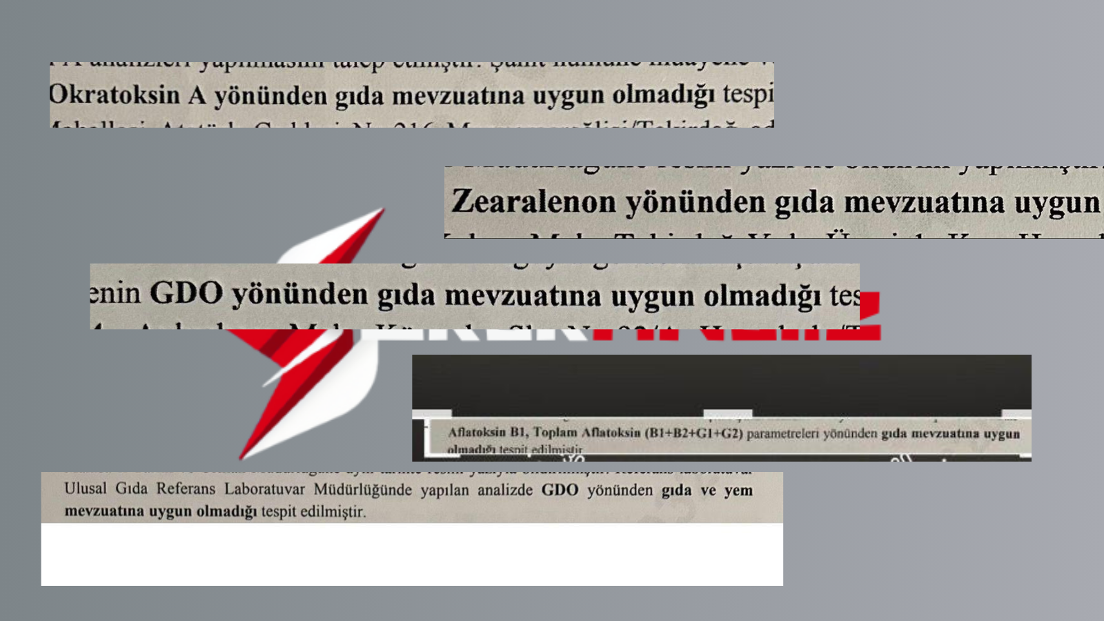 Türkiye Zehirleniyor: GDO ve Toksin Dolu Gıdalar Soframıza Girdi, Skandalı Gizleyenler Nerede?